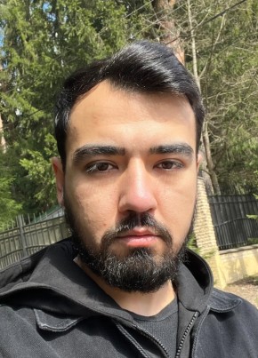 Barysh, 35, Russia, Saint Petersburg