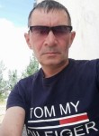 Ренат, 40 лет, Екібастұз