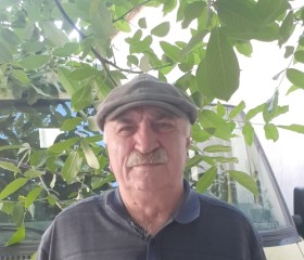 Миша, 67 лет, Краснодар