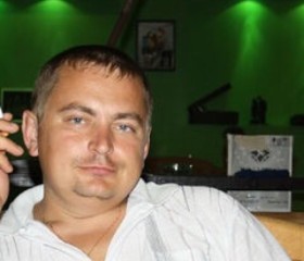 алексей, 47 лет, Димитровград