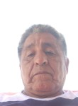 Guillermo Flores, 60 лет, Campo Grande