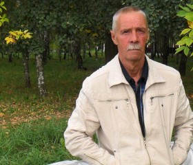 Игорь , 64 года, Орша