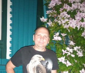 Юрий, 41 год, Давыдовка