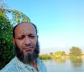 جمال حسين, 42 года, القاهرة