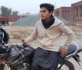 Najeeb Sultan, 18 лет, تحصیل پھالیہ
