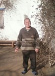 николай, 62 года, Краснодар