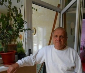 михаил, 75 лет, Узловая