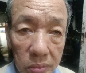 Hưng Thiều, 68 лет, Hà Nội