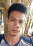 gary basmayor, 38 лет, Lungsod ng Ormoc