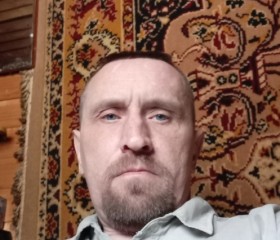 Анатолий Панарин, 48 лет, Москва