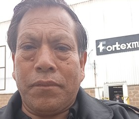 Juan, 51, Tequisquiapan