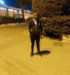 بيبو