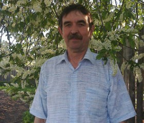 Александр, 65 лет, Ижевск