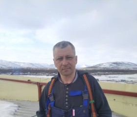 Алексей Колганов, 46 лет, Покров