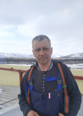 Алексей Колганов, 46, Россия, Покров