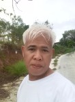 geronimo renton, 49 лет, Lungsod ng Laoag