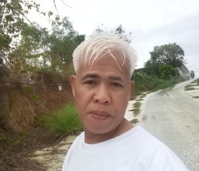 geronimo renton, 49 лет, Lungsod ng Laoag