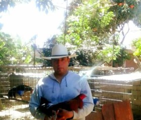 Ricardo, 46 лет, Oaxaca de Juárez