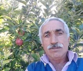 Bekir Usta, 54 года, İstanbul