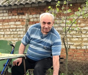Александр, 71 год, Ефремов