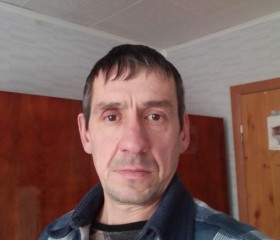 Сергей Останин, 46 лет, Ижевск