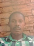 Shurtis cheepwe, 43 года, Kitwe