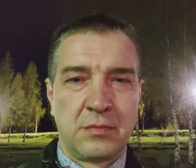 Николай, 43 года, Кострома