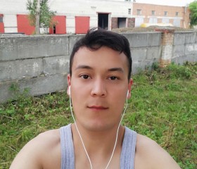 Файзулло , 32 года, Заречный (Свердловская обл.)