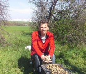 Дима, 26 лет, Великий Новгород