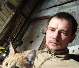Petr, 31, Novosibirsk