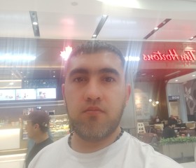 Timur, 37, El Alamein