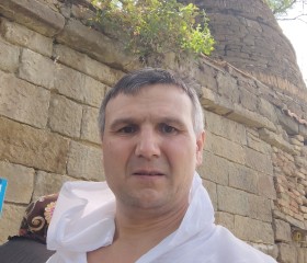 Dinar, 42, Yoshkar-Ola