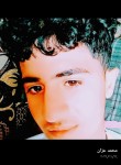 علي, 21 год, صنعاء