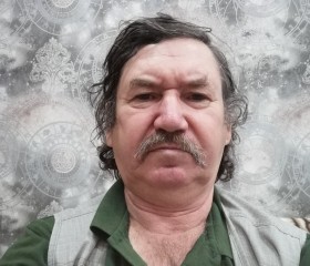 Виктор, 65 лет, Ульяновск