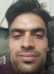 لبزز, 21, Shiraz