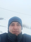 Дима, 36 лет, Йошкар-Ола
