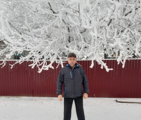Александр, 53 года, Дубовка