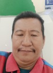 Nestor fernandez, 53 года, Maynila