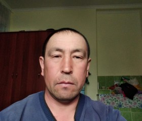 Лев, 45 лет, Бишкек
