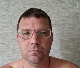 Серёга, 46 лет, Озёрск (Челябинская обл.)