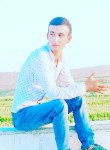 Ismail, 25 лет, Mardin