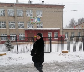 Лариса, 43 года, Ногинск