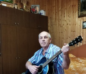 Анатолий, 64 года, Луховицы