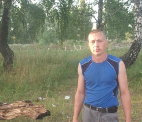 виктор, 42 года, Заринск