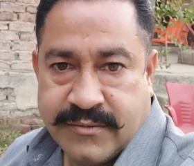 shahid Ali shah, 50 лет, لاڑکانہ