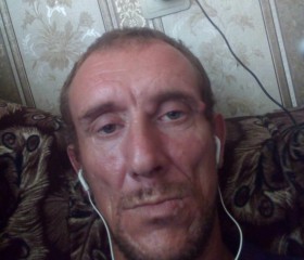 Кашын, 43 года, Архангельск