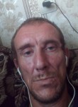 Кашын, 43 года, Архангельск