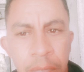 احمد, 52, Cairo