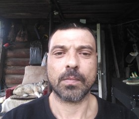 Димааа, 44 года, Москва