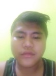 Dani samosir, 19 лет, Kota Pekanbaru